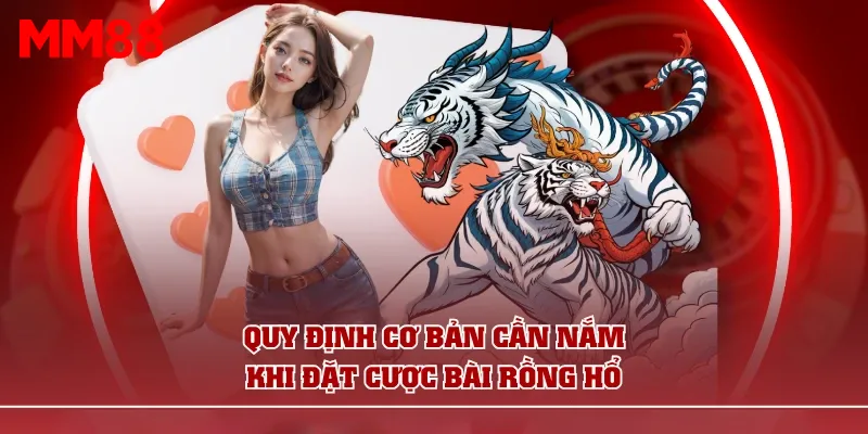 Quy định cơ bản cần nắm khi đặt cược bài Rồng Hổ